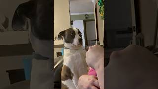 Miniature vidéo