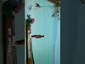 Vanakkam Chennai Movie WhatsApp Status In Tamil Fullscren