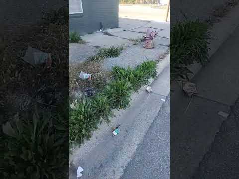 Streetlordz "Blade Icewood" sighting April 19th 2005 was a deadly & sad day for 7mile members😔 #7MD