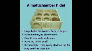 Hamster care checklist.