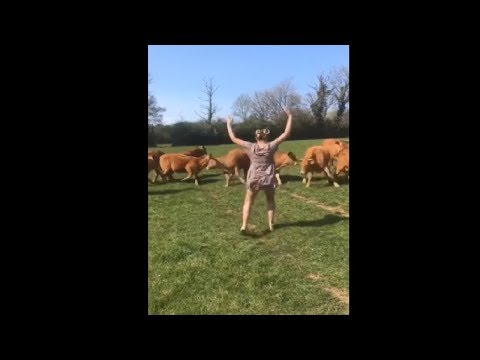 Woman Scares Away Cows Doing The Kulikitaka Challenge