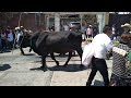 Paseo De San Isidro 2022 Santa Ana Tlapaltitlan Toluca Mex