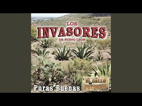 Cielo Azul Cielo Nublado