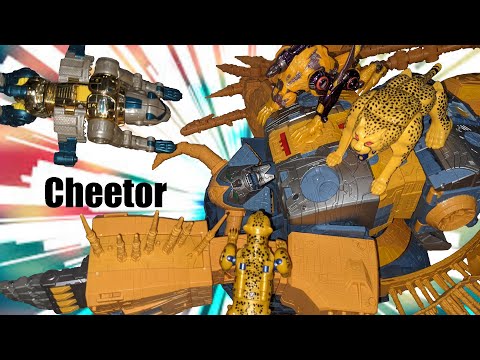Cheetor Showcase: past and present