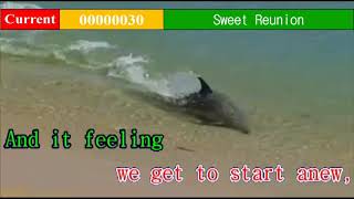 [00000030] Sweet Reunion - Kenny Loggins - Sing It Perfect Karaoke (read desc)