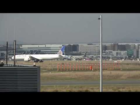 LIVE: Lufthansa Cargo MD11: LAST landing of this Crew in Frankfurt