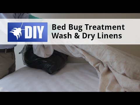  Bed Bug Treatment Step 4 Video 
