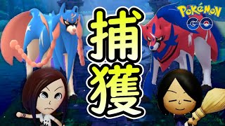 【ポケモンGO】ザシアン・ザマゼンタを大量GETだぜ！