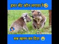 Cobra Scent Sab LOol Hai Funny Magahi Dubbing Shorts Viral Dubbing Love Bihar