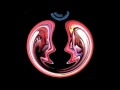 Merzbow - Cannibalism Of Machine 