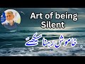 Learning The Art Of Being Silent