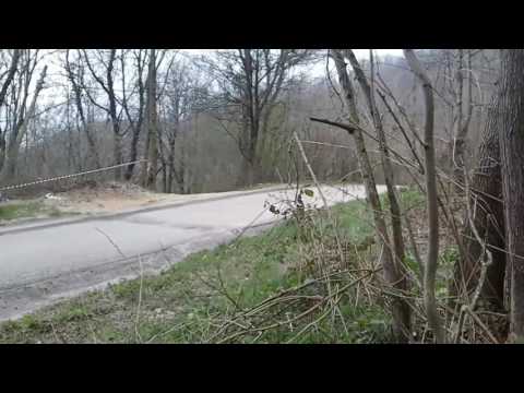 8 Rally Del Grifo 2017