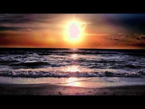 Next Evidence - The Body Theme (Ibadan Records 2001)