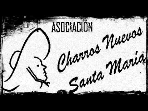 14 Chinelos - Felipe Arpero