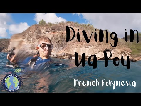 4:16 Chocolate, Waterfalls and Dez's Birthday Dive - Exploring Ua Pou, French Polynesia