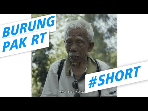 burung-pak-rt-di-jual-komedifantasijawa-dagelan-shorts