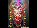 Om Namo Narayana Bakthi Devotional Padalgal Tirupati Spb Perumal Sivamayam Shortsvideo