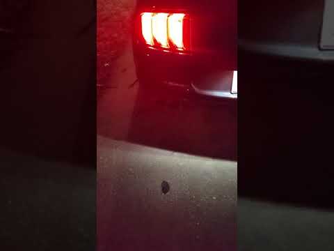 2018 mustang gt comp cams thumpr