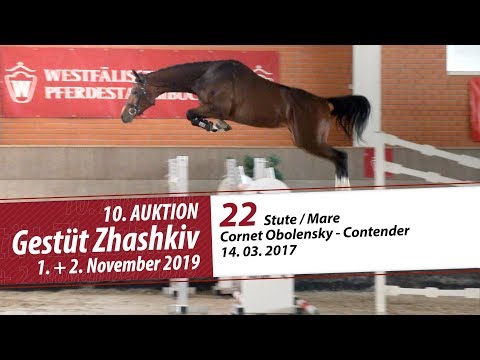 22 Stute / Mare v. Cornet Obolensky - Contender