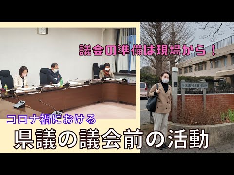 国際関係学科 コロナ禍における議会前の活動