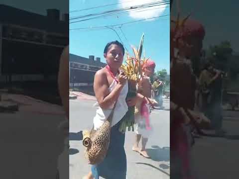 Meylin Secundina Fernández Yaxcal,  Lanquín,  Alta Verapaz.