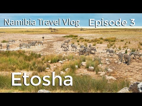 Namibia Travel Vlog: Ep 3: Wildlife Photography in Etosha National Park