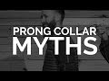 Debunking Prong Collar MYTHS