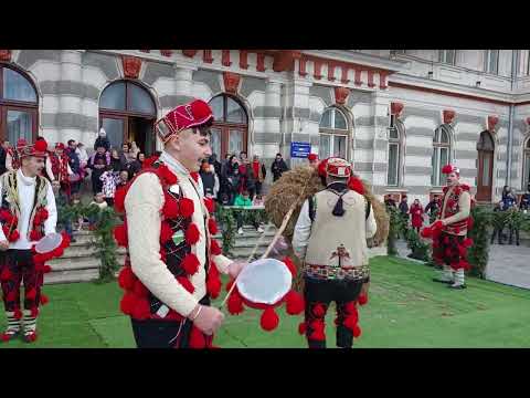 Ursul de la Bădeni...♥️🐻