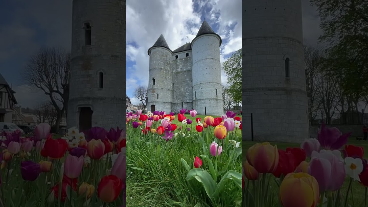 📍Monet's Garden, Giverny, France