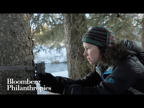 Cate Blanchett: Protect and Restore Nature | The Earthshot Prize Innovation Summit