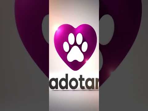 Vídeo de Doguinhos 