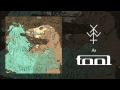 Young And In The Way- Sober (Tool) 