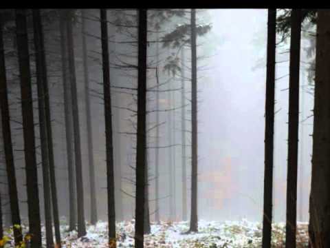 Sade - I never thought I'd see the day (Myon & Shane 54 Remix) [ID 100]