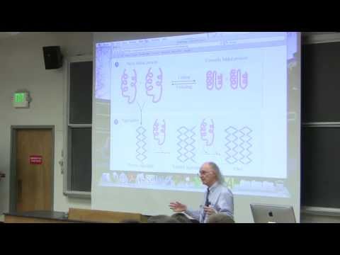 #7 Biochemistry Lecture (Protein Purification) from Kevin Ahern's BB 350