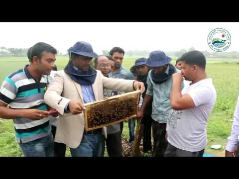 Bioscope apiculture মৌমাছি পালন