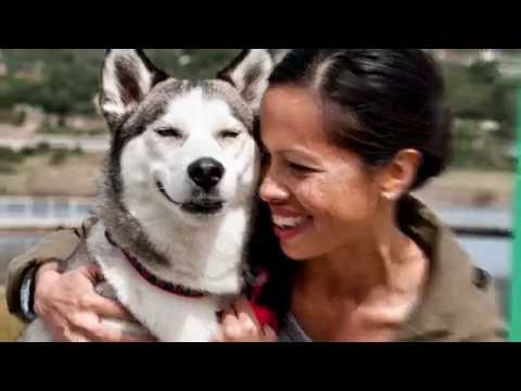 WholeHearted (Petco)