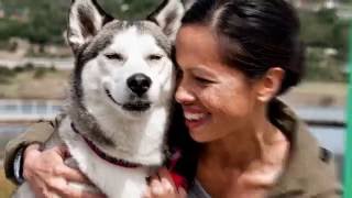 WholeHearted (Petco)