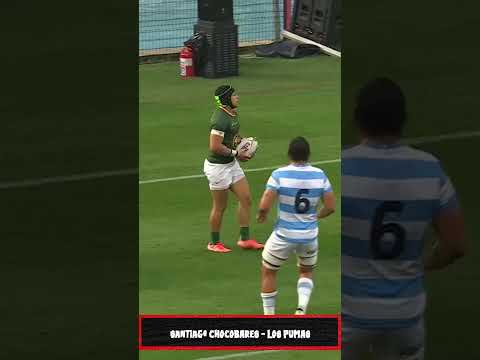Most BIZARRE Try EVER - Springboks vs Los Pumas #rugby