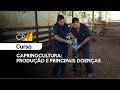 Curso Administração da Pequena Empresa Rural