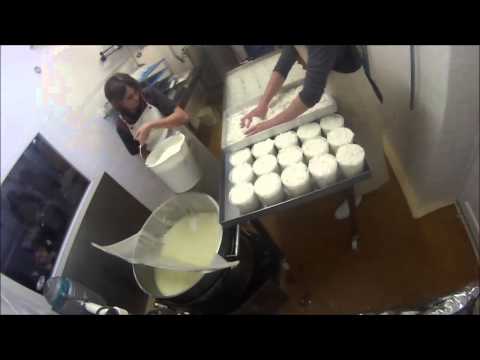 download lagu mp3 mp4 Tomme De Chevre De Pays, download lagu Tomme De Chevre De Pays gratis, unduh video klip Tomme De Chevre De Pays