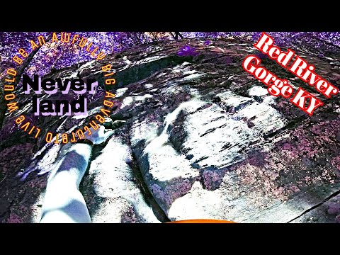 Rock climbing To Live Would be an Awfully Big Adventure in Red River Gorge- Miller Fork at Neverland