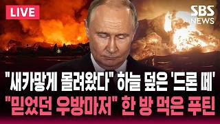 "드론 떼 날려 대반격" 우크라이나, 러시아 최대 정유시설 연쇄 타격 / 젤렌스키, '러시아 우방국' 세르비아 방문 예정 / SBS 뉴스속보