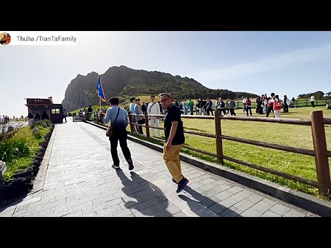 (139) Tập3: Jeju HQ: Tham quan Núi Pháo Đài Seongsan Sunrise Peak ​⁠@thuhatranusa