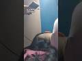 Get Haircut While She Sleeping Full Video Only On Membership Headshave Haircut Hairplay