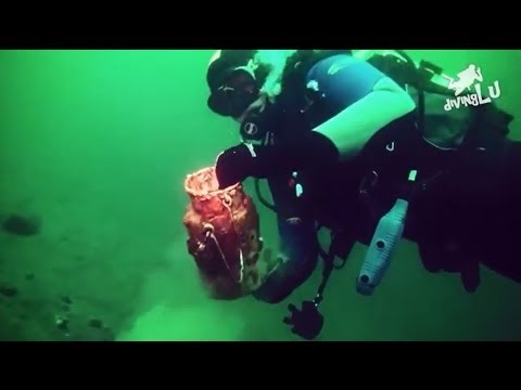 Moritzsee - Autobahnsee Naunhof