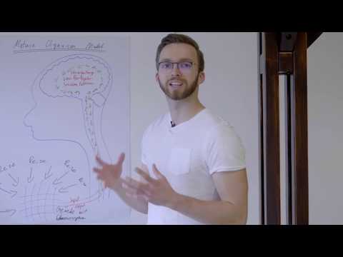 Wie Schmerz entsteht.