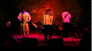 Nathan Williams & The Zydeco Cha Chas - Josephine