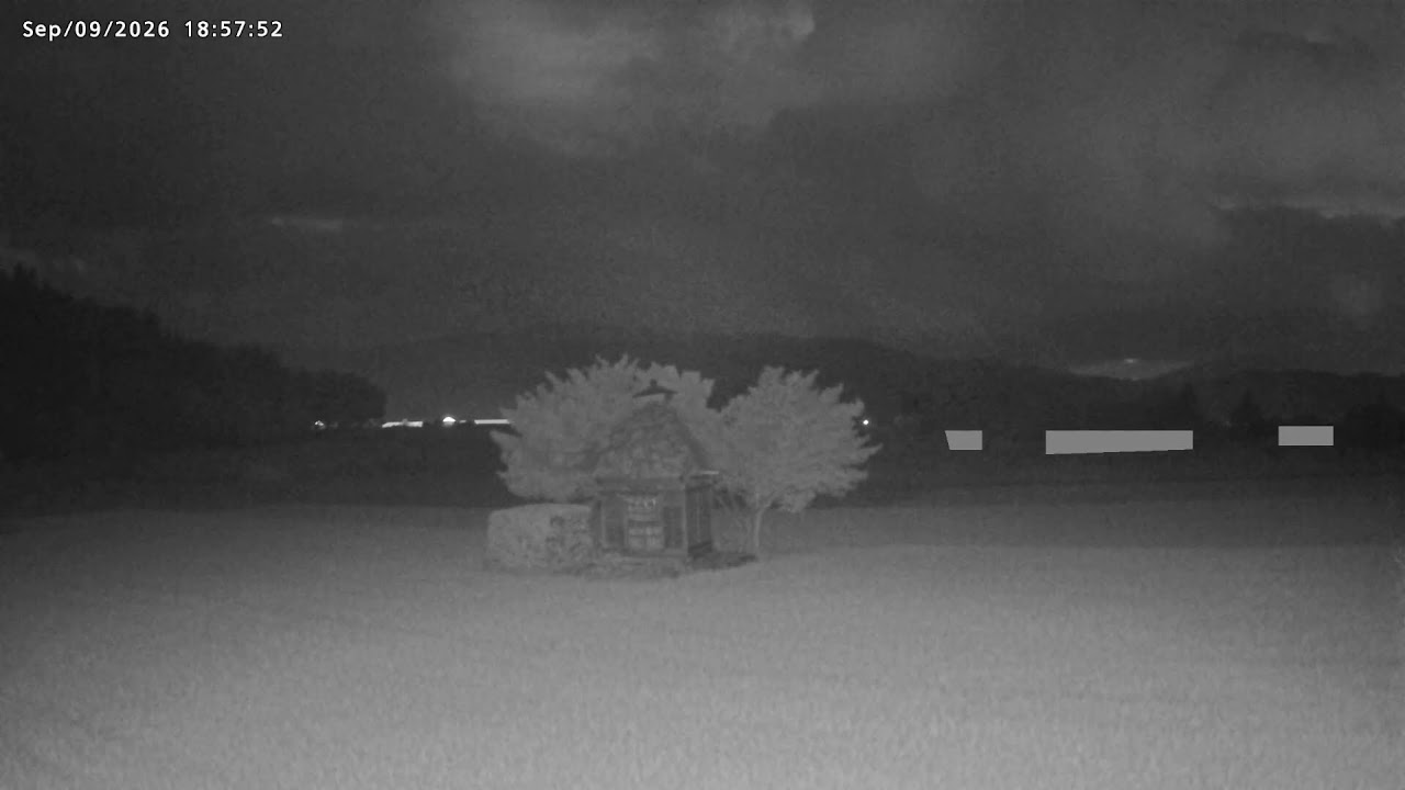 Iwate Live Cameras