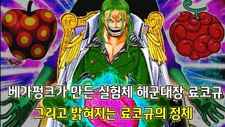 [원피스 1031화 심층분석]베가펑크가 만든 실험체 해군대장 료코규 그리고 밝혀지는 료코규의 정체