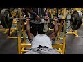 100% GAIN CERTIFIED CHEST & ARM WORKOUT!!!!